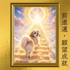 シーズー 運気上昇・願望成就・幸福運 開運アート 幻想画 額縁なし 風水