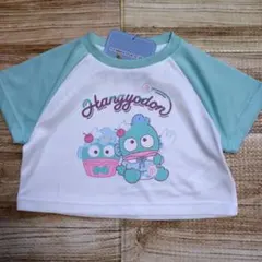 新品 未使用 サンリオ ハンギョドン 半袖 ラグランTシャツ 女の子 90