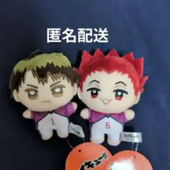 ● ハイキュー　ぬいぷりけmini　牛島若利　天童覚　セット