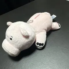 トイストーリー　ハム