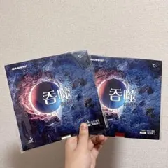 Item thumbnail for item 78e8f9a4-5b31-4205-9c29-a3845a48d709