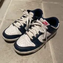 Nike Dunkスニーカー ネイビー/ホワイト