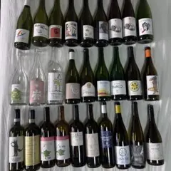 自然派・ナチュラルワイン日本ワイン（農楽蔵・ヴェルリッチ他) 5本
