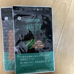 糖質プロテイン 60粒 サプリメント