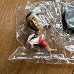 Item thumbnail for item 0b9cf554-9036-4802-93e2-b70a5e98c357