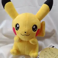 マイピカチュウぬいぐるみ☆②