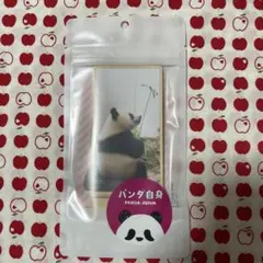2025年最新】パンダ自身フェスの人気アイテム - メルカリ