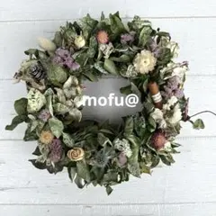 ハナミズキ ⭐️ 白花 ⭐️ 花付き 4.26撮影 花は終わりました。5.11