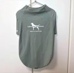 ラブラドールレトリバー 大型犬用 Tシャツ 37.5 ミントグリーン