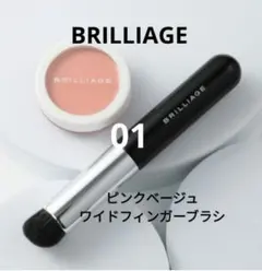 ブリリアージュ カモフラージュコンシーラーチーク 04＆ワイド