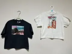 未使用 90cm Tシャツ 2着