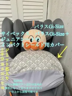 Item thumbnail for item 8d94e57e-f840-4191-bb4b-c86e9a11ffc6