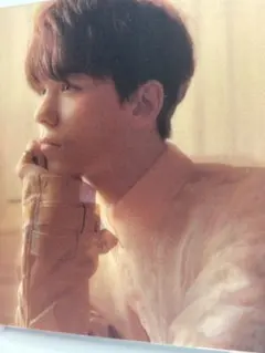 バーノン ポストカード