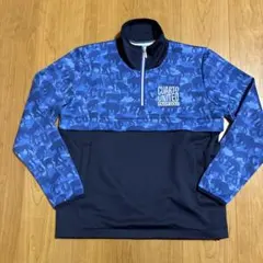 Item thumbnail for item 2aded39f-f79a-4722-b187-fec244affee7