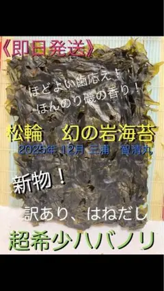 【即日発送】もも　新物希少ハバノリ神奈川三浦松輪幻の岩海苔15枚入り 即日発送】【訳あり】新物希少ハバノリ神奈川三浦松輪幻の岩海苔約20g