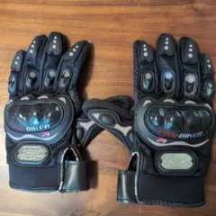 Item thumbnail for item 01991c79-d311-4466-9aa0-e760a39ac421