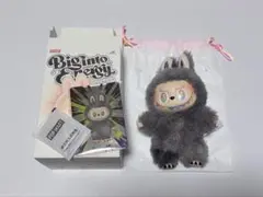 2025年最新】Popmart labubu シークレットの人気アイテム - メルカリ