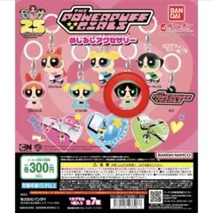 パワーパフガールズ　めじるしアクセサリー