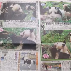 nomad様 リクエスト 2点 まとめ商品