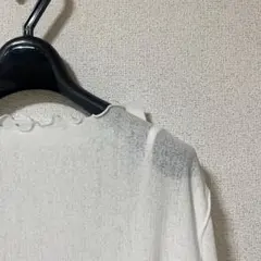 メロウ加工 シアー 長袖カットソー ホワイトのサムネイル