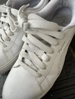 PUMA スニーカー ホワイト レディース