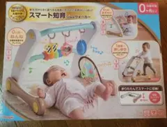People スマート知育ジム&ウォーカー 0ヶ月〜のサムネイル