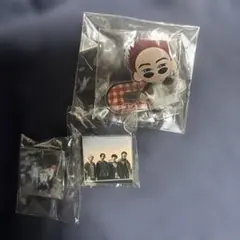 ヤングスキニー武道館グッズ