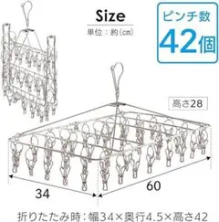 アイリスオーヤマ ステンレスピンチハンガー 42ピンチ 洗濯ハンガー