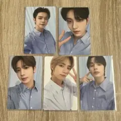 txt シーグリ 2023