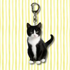 ハチワレ 猫 キーホルダー アクリルチャーム 猫好き リアル 可愛い 白黒ネコ