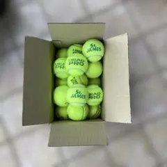 Item thumbnail for item 06e36e68-0064-4994-8e21-04f6309c5ee6