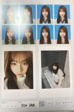 2026年最新】写真プリント用の人気アイテム - メルカリ
