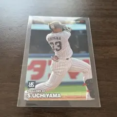 プロ野球チップス　東京ヤクルトスワローズ