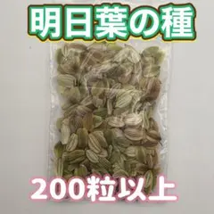 2026年最新】明日葉 種の人気アイテム - メルカリ