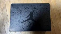 Air Jordan 4 Retro OG 