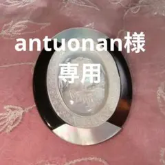 本鼈甲白蝶貝カメオデザインブローチ