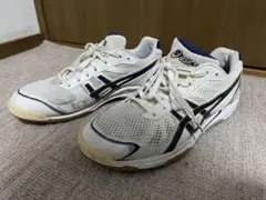 ゲルブレード5 アシックス バレーボールシューズバドミントンシューズ 海外モデル ゲルブレード5 アシックス バレーボールシューズバドミントンシューズ