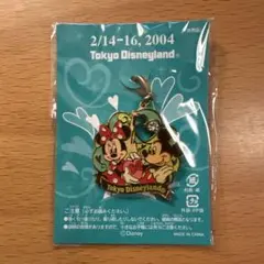 東京ディズニーランド キーホルダー