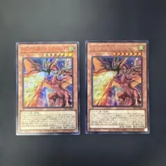 遊戯王　ハーピイズペット竜-セイント・ファイアー・ギガ　レッドシク、シク　セット