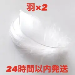 SnowMan ON 落下物　羽