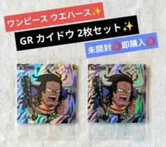 未開封✨カイドウ ワンピース ウエハース シール にふぉるめーしょん 2枚セット