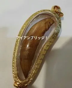 2026年最新】プラクルアン ケースの人気アイテム - メルカリ