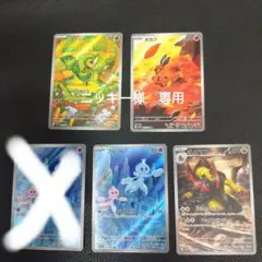 ニッキー様専用　ツタージャ ポカブ プルリル オノノクス