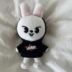 straykids leebit リノ skzoo plash victory