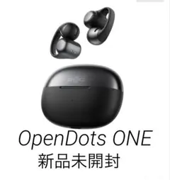 2026年最新】Shokz OpenDots ONE ワイヤレスイヤホンの人気アイテム