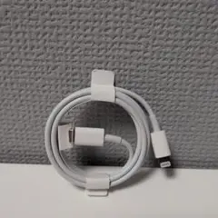 iPhone純正付属 USB-C - Lightningケーブル