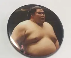 宇良関　缶バッチ