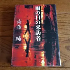 【初版本】雨の日の来訪者