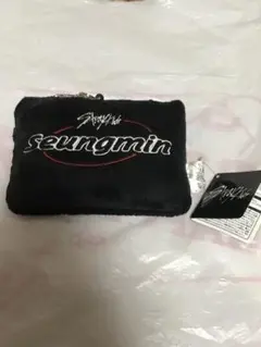 新品未使用 Seungmin StrayKids パスケース①