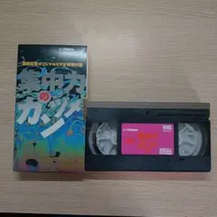 Item thumbnail for item 8eefc1ab-efc8-4ad0-a681-7a9add02ac06